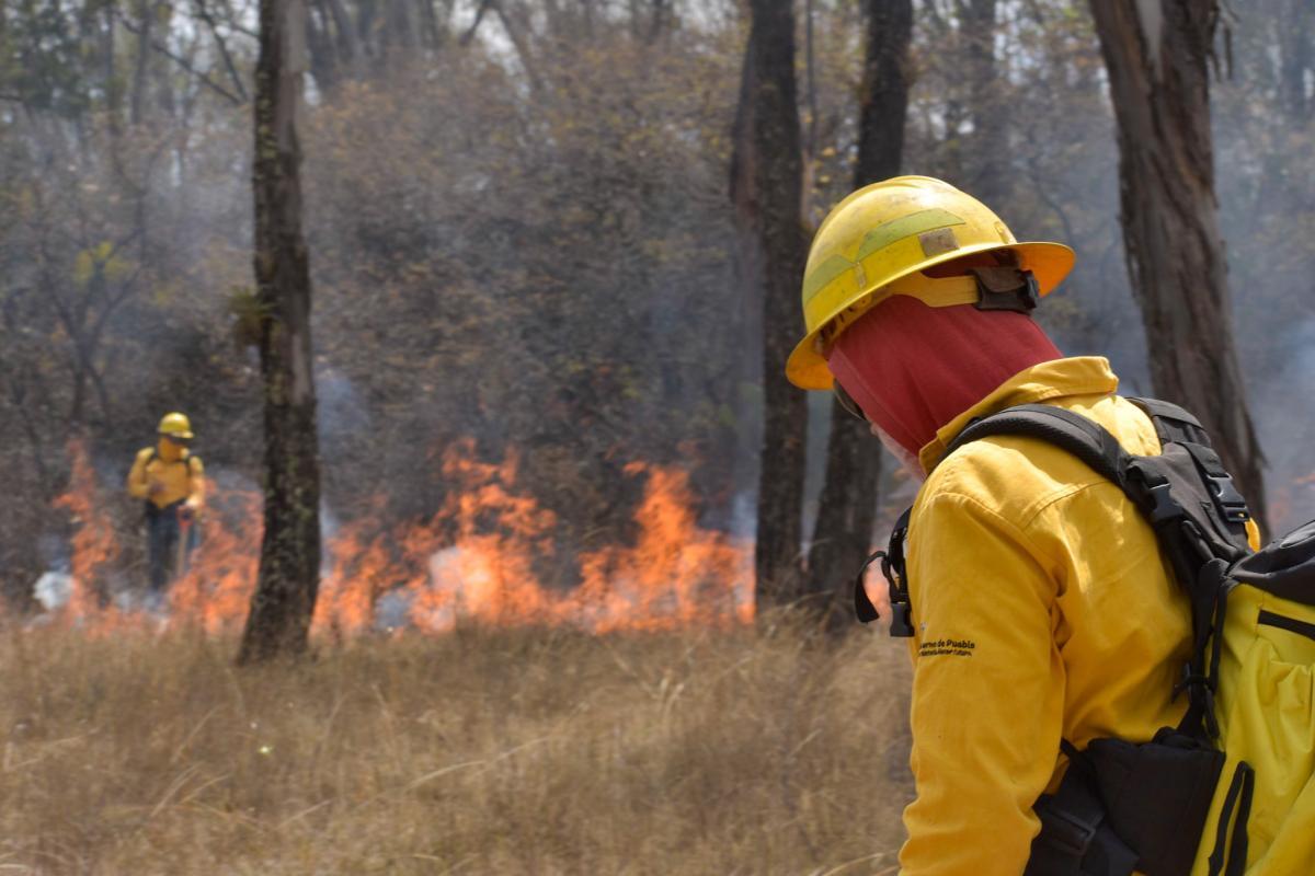 Incendios forestales en Puebla: estado es tercero en deflagraciones en el país
