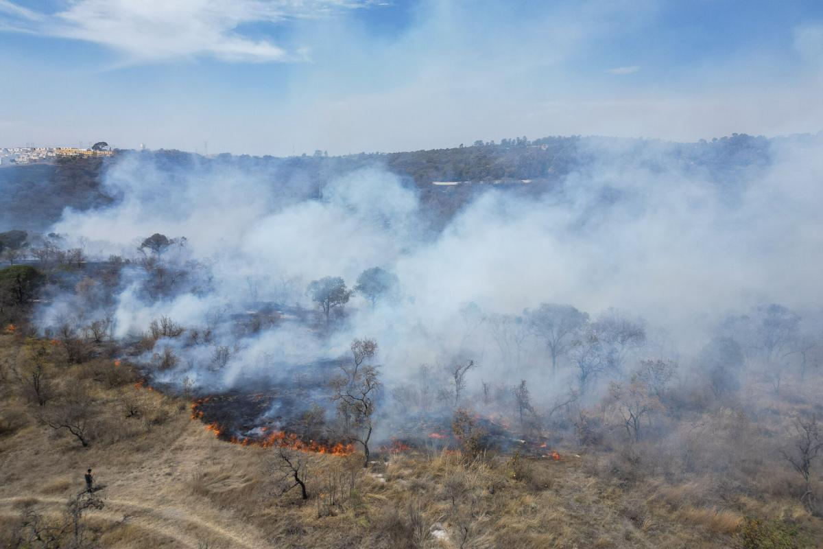 Incendios forestales en Puebla: estado es tercero en deflagraciones en el país